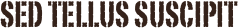 Sed tellus suscipit
